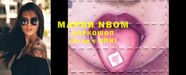 гидра Кукмор