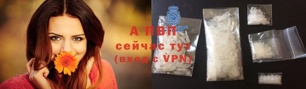 гидра Кукмор