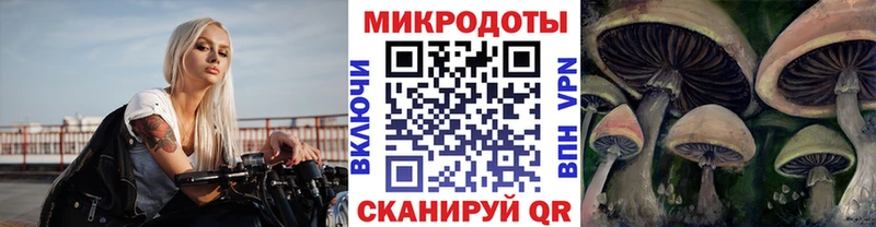 Купить закладки  Себеж  Галлюциногенные грибы Psilocybe 